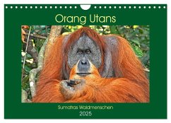 Orang Utans Sumatras Waldmenschen (Wandkalender 2025 DIN A4 quer), CALVENDO Monatskalender - Calvendo;Edel, Anja