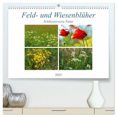 Feld- und Wiesenblüher Schützenswerte Natur (hochwertiger Premium Wandkalender 2025 DIN A2 quer), Kunstdruck in Hochglanz - Calvendo;Marten, Martina