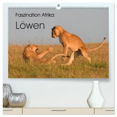 Faszination Afrika: Löwen (hochwertiger Premium Wandkalender 2025 DIN A2 quer), Kunstdruck in Hochglanz