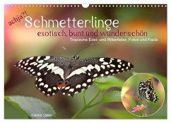 achja?! Schmetterlinge, exotisch, bunt und wunderschön (Wandkalender 2025 DIN A3 quer), CALVENDO Monatskalender
