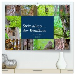 Strix aluco ... der Waldkauz (hochwertiger Premium Wandkalender 2025 DIN A2 quer), Kunstdruck in Hochglanz
