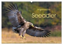 Majestätische Seeadler (Wandkalender 2025 DIN A2 quer), CALVENDO Monatskalender