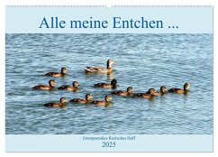 Alle meine Entchen ... Entenparadies Kurisches Haff (Wandkalender 2025 DIN A2 quer), CALVENDO Monatskalender