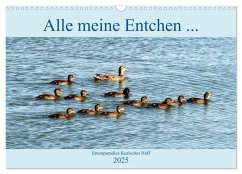 Alle meine Entchen ... Entenparadies Kurisches Haff (Wandkalender 2025 DIN A3 quer), CALVENDO Monatskalender - Calvendo;Löwis of Menar, Henning von