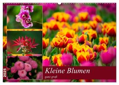 Kleine Blumen ganz groß (Wandkalender 2025 DIN A2 quer), CALVENDO Monatskalender