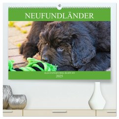 Neufundländer - Alle fangen mal klein an (hochwertiger Premium Wandkalender 2025 DIN A2 quer), Kunstdruck in Hochglanz