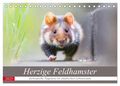 Herzige Feldhamster - farbenfrohe Nagetiere im städtischen Lebensraum (Tischkalender 2025 DIN A5 quer), CALVENDO Monatskalender