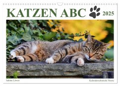 Katzen ABC (Wandkalender 2025 DIN A3 quer), CALVENDO Monatskalender