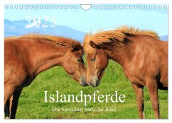 Islandpferde - Die tierischen Stars der Insel (Wandkalender 2025 DIN A4 quer), CALVENDO Monatskalender - Calvendo;Großkopf, Rainer