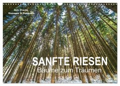 Sanfte Riesen - Bäume zum Träumen (Wandkalender 2025 DIN A3 quer), CALVENDO Monatskalender