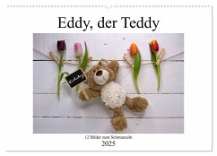 Eddy, der Teddy - 12 Bilder zum Schmunzeln (Wandkalender 2025 DIN A2 quer), CALVENDO Monatskalender