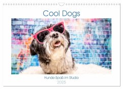 Cool Dogs - Hunde-Spaß im Studio (Wandkalender 2025 DIN A3 quer), CALVENDO Monatskalender