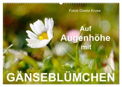 Auf Augenhöhe mit Gänseblümchen (Wandkalender 2025 DIN A2 quer), CALVENDO Monatskalender - Calvendo;Kruse, Gisela