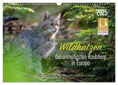Wildkatzen - die anmutigsten Raubiere in Europa. (Wandkalender 2025 DIN A3 quer), CALVENDO Monatskalender