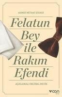 Felatun Bey ve Rakim Efendi - Mithat Efendi, Ahmet