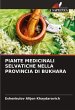 PIANTE MEDICINALI SELVATICHE NELLA... - Bild 1