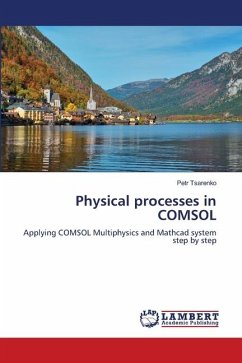 Physical processes in COMSOL