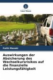 Auswirkungen der Absicherung des Wechselkursrisikos auf die finanzielle Leistungsfähigkeit