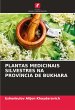 PLANTAS MEDICINAIS SILVESTRES NA... - Bild 1