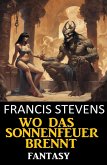Wo das Sonnenfeuer brennt: Fantasy (eBook, ePUB)