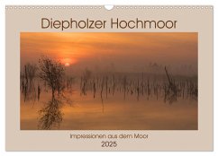 Diepholzer Hochmoor (Wandkalender 2025 DIN A3 quer), CALVENDO Monatskalender