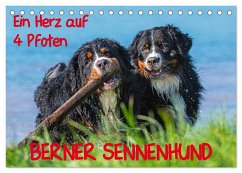 Ein Herz auf 4 Pfoten - Berner Sennenhund (Tischkalender 2025 DIN A5 quer), CALVENDO Monatskalender - Calvendo;Starick, Sigrid
