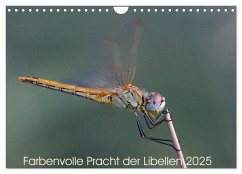 Farbenvolle Pracht der Libellen (Wandkalender 2025 DIN A4 quer), CALVENDO Monatskalender - Calvendo;Blickwinkel, Dany´s