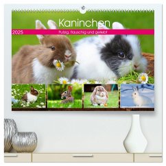 Kaninchen. Putzig, flauschig und geliebt (hochwertiger Premium Wandkalender 2025 DIN A2 quer), Kunstdruck in Hochglanz