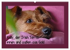 Kelly, der Irish Terrier - innen und außen aus Gold (Wandkalender 2025 DIN A2 quer), CALVENDO Monatskalender