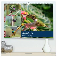 Kolibris - Edelsteine der Lüfte (hochwertiger Premium Wandkalender 2025 DIN A2 quer), Kunstdruck in Hochglanz - Calvendo;Wöhlke, Jürgen