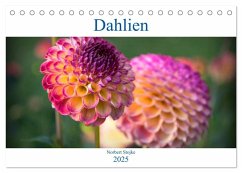 Dahlien - Blumenwunder der Natur (Tischkalender 2025 DIN A5 quer), CALVENDO Monatskalender - Calvendo;Stojke, Norbert