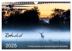Rotwild - im Naturparadies der Mecklenburgischen Seenplatte (Wandkalender 2025 DIN A4 quer), CALVENDO Monatskalender