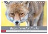 Bezaubernder Fuchs - ein Freund auf... - Bild 1