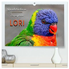 Wunderschöne Papageien - Lori (hochwertiger Premium Wandkalender 2025 DIN A2 quer), Kunstdruck in Hochglanz