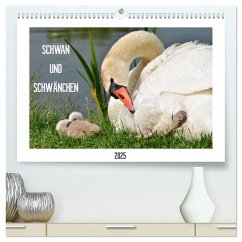 SCHWAN UND SCHWÄNCHEN (hochwertiger Premium Wandkalender 2025 DIN A2 quer), Kunstdruck in Hochglanz