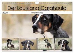 Der Louisiana Catahoula Leopard Dog (Wandkalender 2025 DIN A4 quer), CALVENDO Monatskalender - Calvendo;Schnellewelten