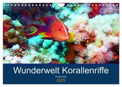 Wunderwelt Korallenriffe (Wandkalender 2025 DIN A4 quer), CALVENDO Monatskalender - Calvendo;Heß, Andrea