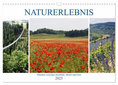 Naturerlebnis - Wandern zwischen Hunsrück, Mosel und Eifel (Wandkalender 2025 DIN A3 quer), CALVENDO Monatskalender