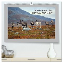 Rentiere im Hohen Norden (hochwertiger Premium Wandkalender 2025 DIN A2 quer), Kunstdruck in Hochglanz