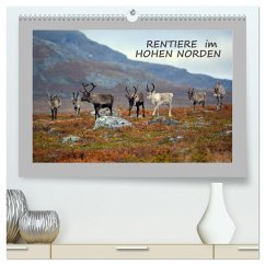 Rentiere im Hohen Norden (hochwertiger Premium Wandkalender 2025 DIN A2 quer), Kunstdruck in Hochglanz - Calvendo;Gugigei