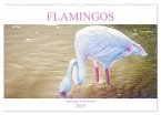 Flamingos - imposante Schönheiten (Wandkalender 2025 DIN A2 quer), CALVENDO Monatskalender