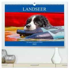 Landseer - Ein starker Freund auf 4 Pfoten (hochwertiger Premium Wandkalender 2025 DIN A2 quer), Kunstdruck in Hochglanz - Calvendo;Starick, Sigrid