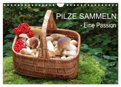 Pilze sammeln - eine Passion (Wandkalender 2025 DIN A4 quer), CALVENDO Monatskalender