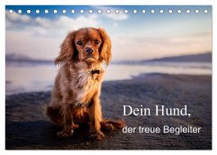 Dein Hund der treue Begleiter (Tischkalender 2025 DIN A5 quer), CALVENDO Monatskalender - Calvendo;Gayde, Frank