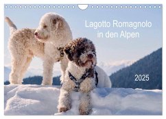 Lagotto Romagnolo in den Alpen 2025 (Wandkalender 2025 DIN A4 quer), CALVENDO Monatskalender