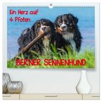 Ein Herz auf 4 Pfoten - Berner Sennenhund (hochwertiger Premium Wandkalender 2025 DIN A2 quer), Kunstdruck in Hochglanz