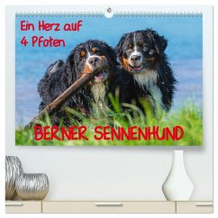 Ein Herz auf 4 Pfoten - Berner Sennenhund (hochwertiger Premium Wandkalender 2025 DIN A2 quer), Kunstdruck in Hochglanz - Calvendo;Starick, Sigrid