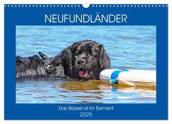 Neufundländer - Das Wasser ist ihr Element (Wandkalender 2025 DIN A3 quer), CALVENDO Monatskalender