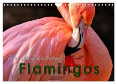 Flamingos - elegante Schönheiten (Wandkalender 2025 DIN A4 quer), CALVENDO Monatskalender - Calvendo;Roder, Peter