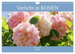 Verliebt in Rosen (Wandkalender 2025 DIN A4 quer), CALVENDO Monatskalender - Calvendo;Kruse, Gisela